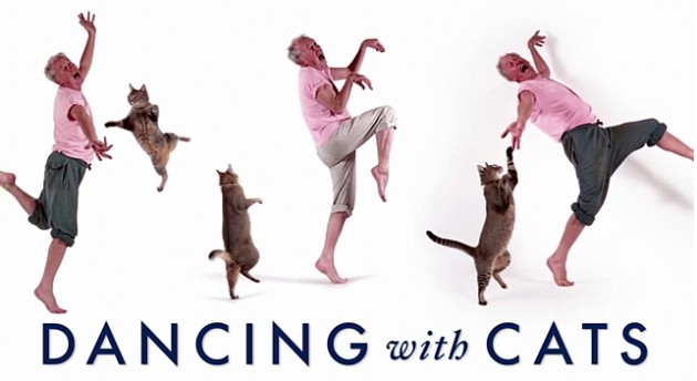 Dancing-with-Cats1