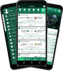 Everything You Need to Know About Baji Live Login Everything You Need to Know About Baji Live Login