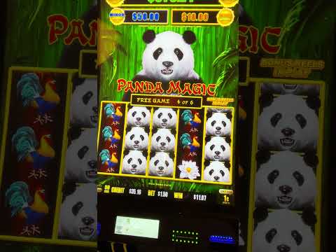 Discover the Thrills at Spinpanda Online Casino UK Discover the Thrills at Spinpanda Online Casino UK