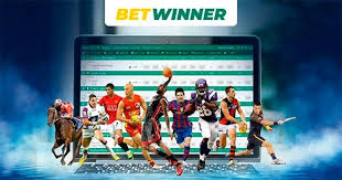 Exploring BetWinner Your Ultimate Guide to Online Betting