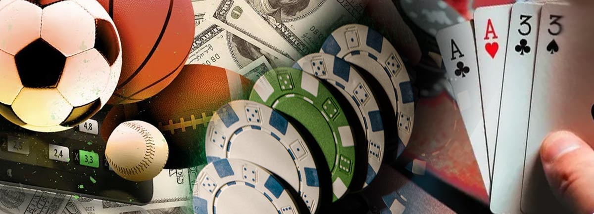 Exploring the Excitement of Prowin Casino