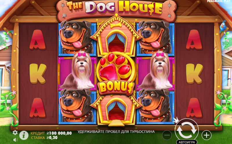 더 도그하우스 무료 초보자를 위한 가이드와 즐기는 팁