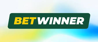 Comprehensive Overview of BetWinner Cameroon Features, Benefits, and Betting Options