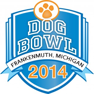 DogBowl